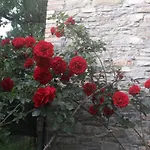 בית נופש Fine 5 Bedroom פיאצ'נצה