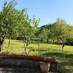 Fine 5 Bedroom * פיאצ'נצה