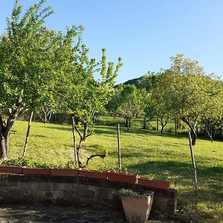 Fine 5 Bedroom Farmhouse * Piacenza