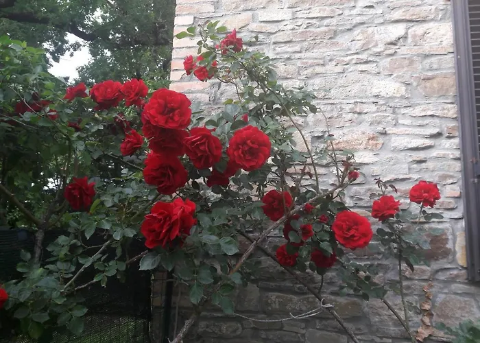 Vakantiehuis Fine 5 Bedroom Piacenza