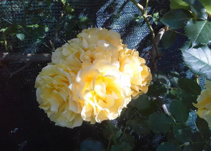 Fine 5 Bedroom * Пьяченца